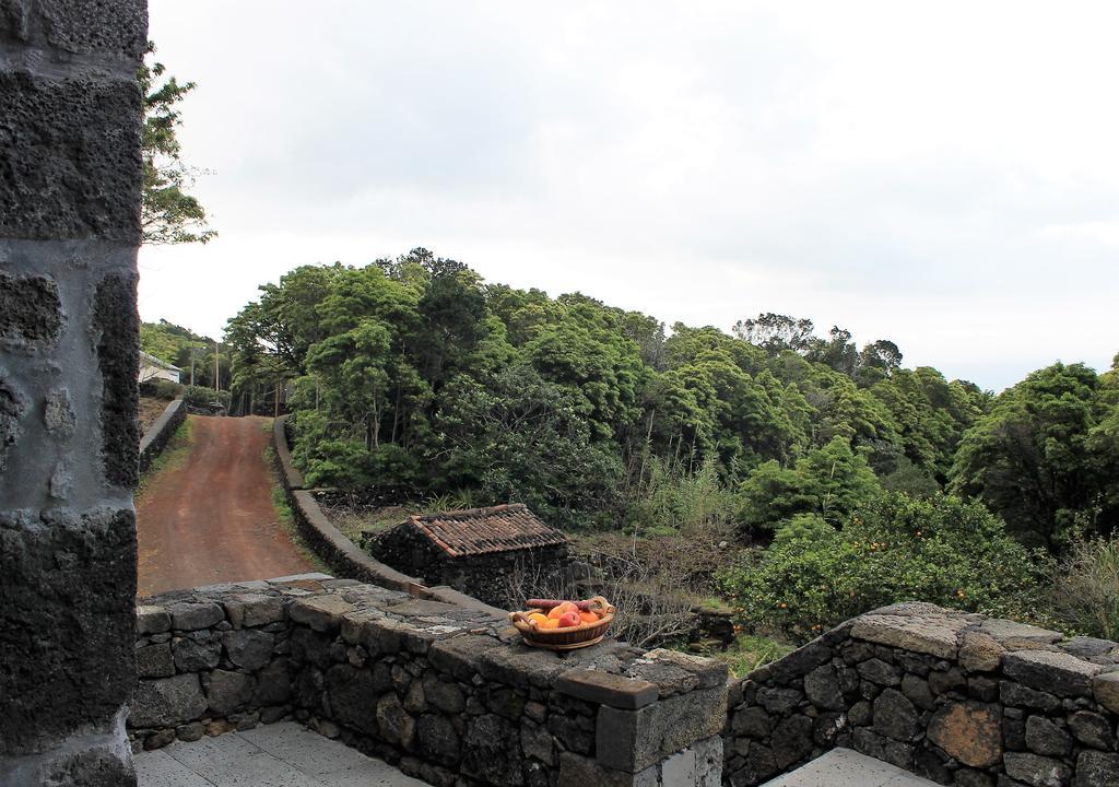 Pico Formoso Vinea Lava Alojamentos Pico Prainha  Exteriör bild